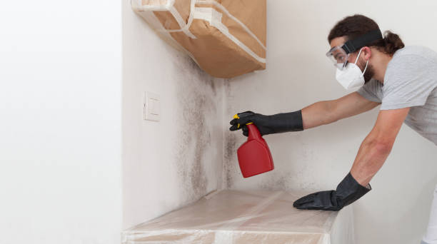 Professional Mold Inspection technician working in Bergheim, TX